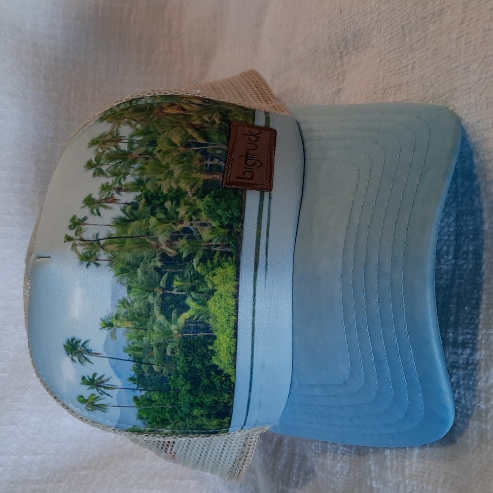 Big truck hat with palm trees.